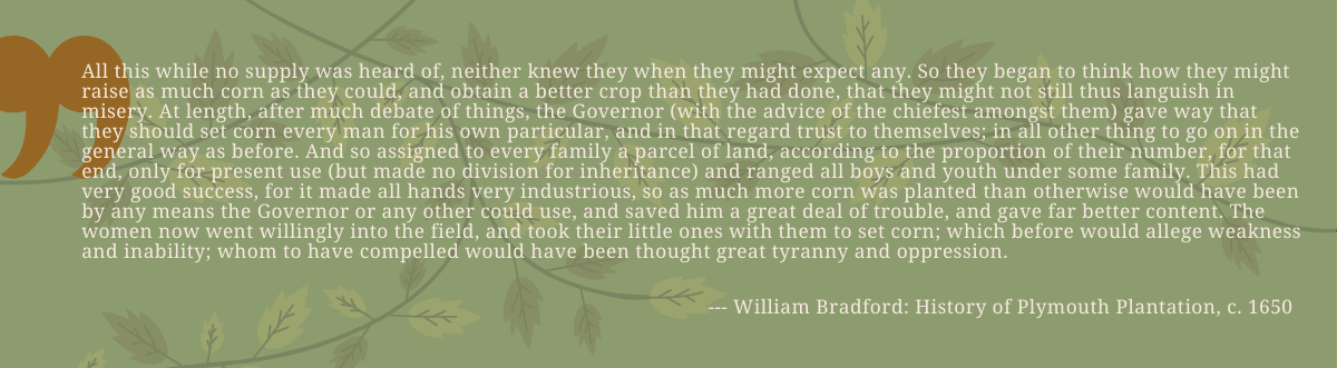 William Bradford quote about socialism